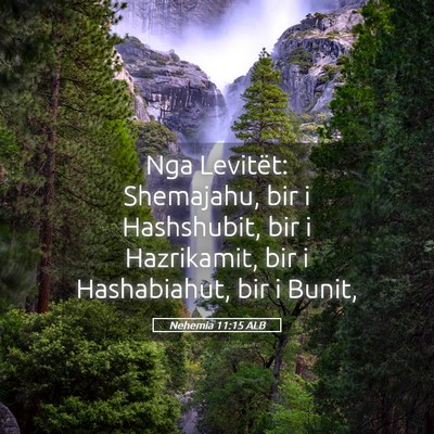 Picture 05 - Nehemia 11:15 ALB - Nga Levitët: Shemajahu, bir i Hashshubit, bir i - Bible Verse Picture