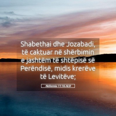 Picture 05 - Nehemia 11:16 ALB - Shabethai dhe Jozabadi, të caktuar në - Bible Verse Picture