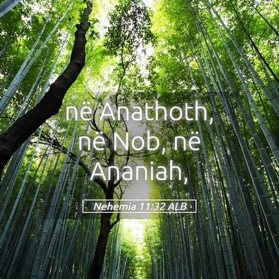 Picture 05 - Nehemia 11:32 ALB - në Anathoth, në Nob, në - Bible Verse Picture