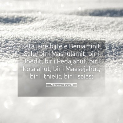 Picture 05 - Nehemia 11:7 ALB - Këta janë bijtë e Beniaminit: Salu, bir i - Bible Verse Picture