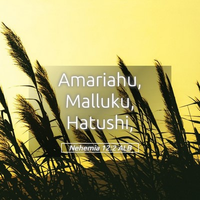Picture 05 - Nehemia 12:2 ALB - Amariahu, Malluku, - Bible Verse Picture