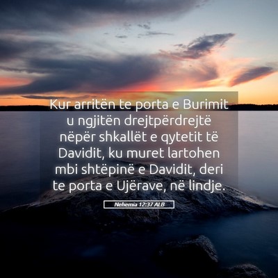 Picture 05 - Nehemia 12:37 ALB - Kur arritën te porta e Burimit u ngjitën - Bible Verse Picture