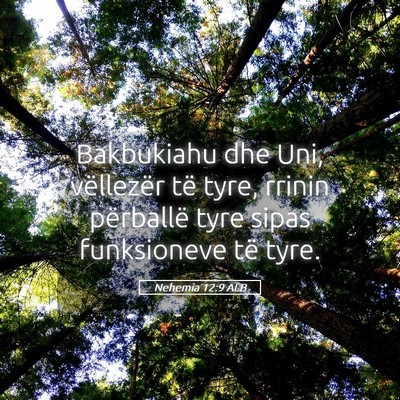 Picture 05 - Nehemia 12:9 ALB - Bakbukiahu dhe Uni, vëllezër të tyre, rrinin - Bible Verse Picture