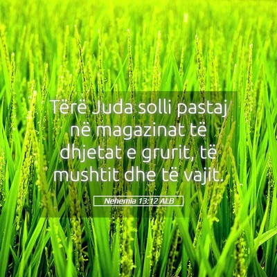 Picture 05 - Nehemia 13:12 ALB - Tërë Juda solli pastaj në magazinat të - Bible Verse Picture