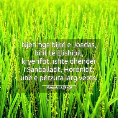 Picture 05 - Nehemia 13:28 ALB - Njeri nga bijtë e Joadas, birit të Elishibit, - Bible Verse Picture