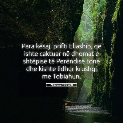 Picture 05 - Nehemia 13:4 ALB - Para kësaj, prifti Eliashib, që ishte caktuar - Bible Verse Picture