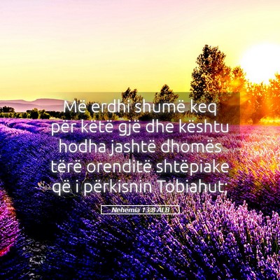 Picture 05 - Nehemia 13:8 ALB - Më erdhi shumë keq për këtë gjë dhe kështu - Bible Verse Picture