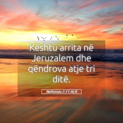 Picture 05 - Nehemia 2:11 ALB - Kështu arrita në Jeruzalem dhe qëndrova atje - Bible Verse Picture