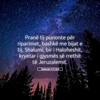 Picture 05 - Nehemia 3:12 ALB - Pranë tij punonte për riparimet, bashkë me - Bible Verse Picture