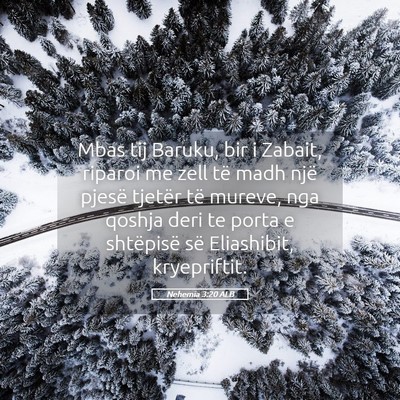 Picture 05 - Nehemia 3:20 ALB - Mbas tij Baruku, bir i Zabait, riparoi me zell - Bible Verse Picture