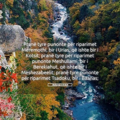 Picture 05 - Nehemia 3:4 ALB - Pranë tyre punonte për riparimet Meremothi, bir - Bible Verse Picture