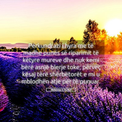 Picture 05 - Nehemia 5:16 ALB - Përkundrazi i hyra me të madhe punës së - Bible Verse Picture
