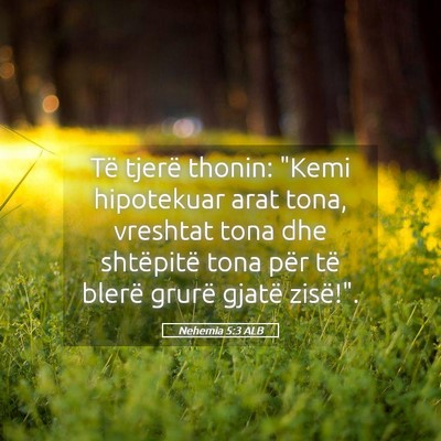 Picture 05 - Nehemia 5:3 ALB - Të tjerë thonin: 