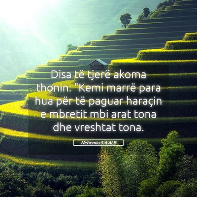 Picture 05 - Nehemia 5:4 ALB - Disa të tjerë akoma thonin: 