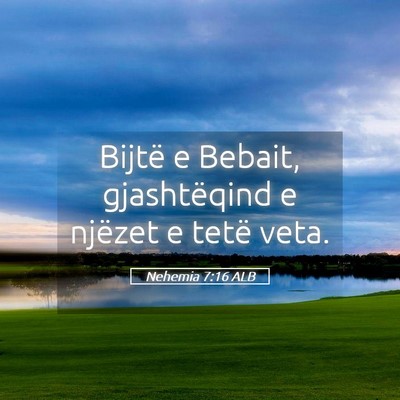 Picture 05 - Nehemia 7:16 ALB - Bijtë e Bebait, gjashtëqind e njëzet e tetë - Bible Verse Picture