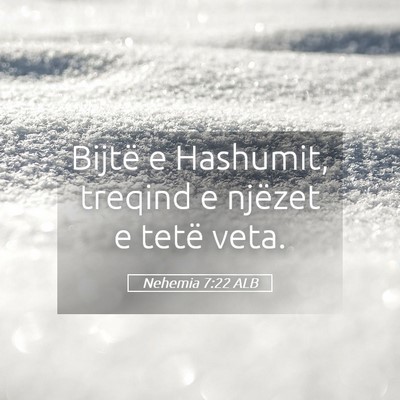 Picture 05 - Nehemia 7:22 ALB - Bijtë e Hashumit, treqind e njëzet e tetë - Bible Verse Picture