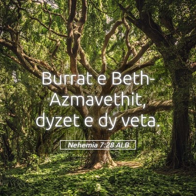 Picture 05 - Nehemia 7:28 ALB - Burrat e Beth-Azmavethit, dyzet e dy - Bible Verse Picture