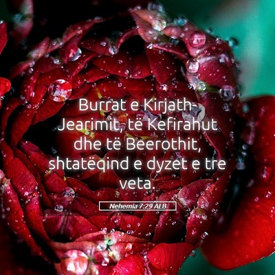 Picture 05 - Nehemia 7:29 ALB - Burrat e Kirjath-Jearimit, të Kefirahut dhe të - Bible Verse Picture