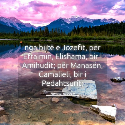 Picture 05 - Numrat 1:10 ALB - nga bijtë e Jozefit, për Efraimin, Elishama, - Bible Verse Picture