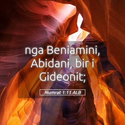 Picture 05 - Numrat 1:11 ALB - nga Beniamini, Abidani, bir i - Bible Verse Picture
