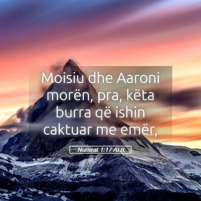 Picture 05 - Numrat 1:17 ALB - Moisiu dhe Aaroni morën, pra, këta burra që - Bible Verse Picture
