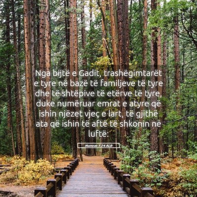 Picture 05 - Numrat 1:24 ALB - Nga bijtë e Gadit, trashëgimtarët e tyre në - Bible Verse Picture
