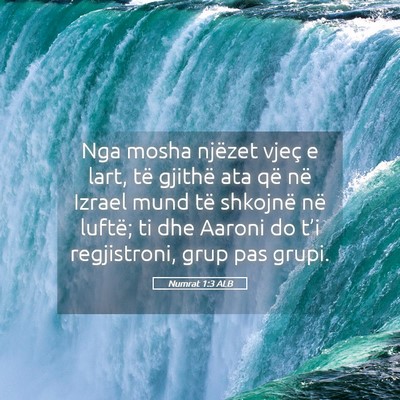Picture 05 - Numrat 1:3 ALB - Nga mosha njëzet vjeç e lart, të gjithë ata - Bible Verse Picture