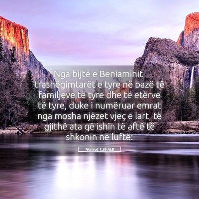 Picture 05 - Numrat 1:36 ALB - Nga bijtë e Beniaminit, trashëgimtarët e tyre - Bible Verse Picture