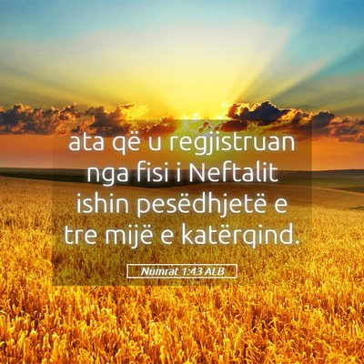 Picture 05 - Numrat 1:43 ALB - ata që u regjistruan nga fisi i Neftalit ishin - Bible Verse Picture