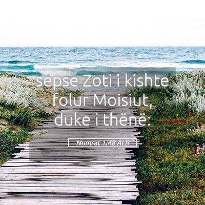 Picture 05 - Numrat 1:48 ALB - sepse Zoti i kishte folur Moisiut, duke i - Bible Verse Picture
