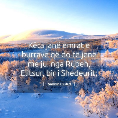 Picture 05 - Numrat 1:5 ALB - Këta janë emrat e burrave që do të jenë me - Bible Verse Picture