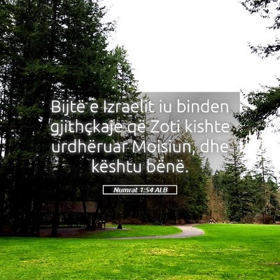Picture 05 - Numrat 1:54 ALB - Bijtë e Izraelit iu binden gjithçkaje që Zoti - Bible Verse Picture