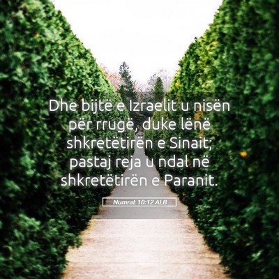 Picture 05 - Numrat 10:12 ALB - Dhe bijtë e Izraelit u nisën për rrugë, duke - Bible Verse Picture