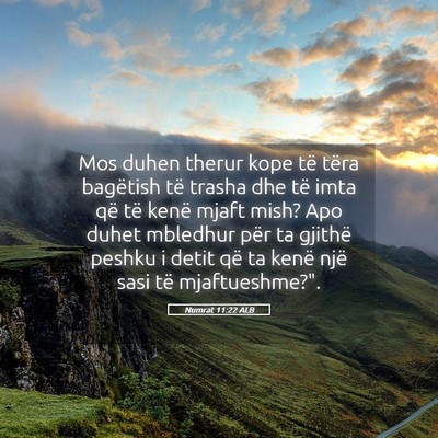 Picture 05 - Numrat 11:22 ALB - Mos duhen therur kope të tëra bagëtish të - Bible Verse Picture