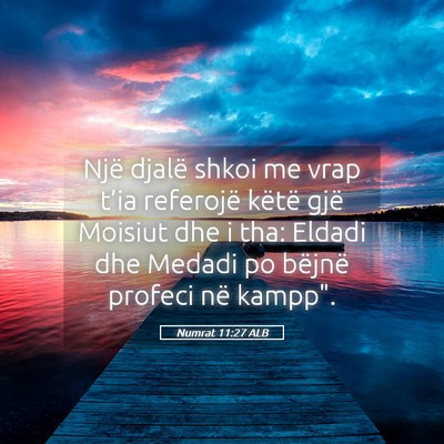 Picture 05 - Numrat 11:27 ALB - Një djalë shkoi me vrap t’ia referojë këtë - Bible Verse Picture