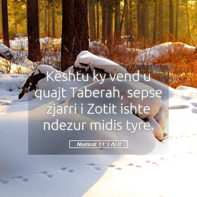 Picture 05 - Numrat 11:3 ALB - Kështu ky vend u quajt Taberah, sepse zjarri i - Bible Verse Picture