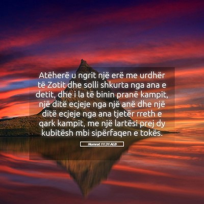 Picture 05 - Numrat 11:31 ALB - Atëherë u ngrit një erë me urdhër të Zotit - Bible Verse Picture