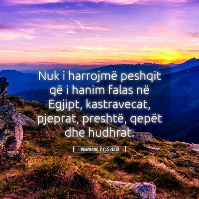 Picture 05 - Numrat 11:5 ALB - Nuk i harrojmë peshqit që i hanim falas në - Bible Verse Picture