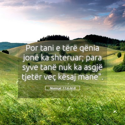 Picture 05 - Numrat 11:6 ALB - Por tani e tërë qënia jonë ka shteruar; para - Bible Verse Picture