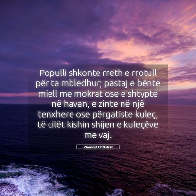 Picture 05 - Numrat 11:8 ALB - Populli shkonte rreth e rrotull për ta mbledhur; - Bible Verse Picture
