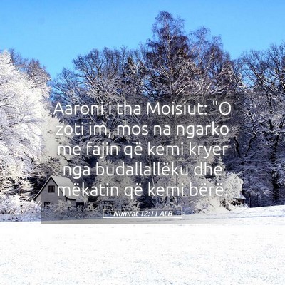 Picture 05 - Numrat 12:11 ALB - Aaroni i tha Moisiut: 