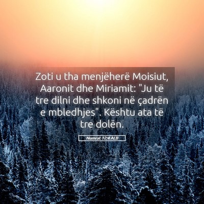 Picture 05 - Numrat 12:4 ALB - Zoti u tha menjëherë Moisiut, Aaronit dhe - Bible Verse Picture