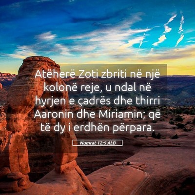 Picture 05 - Numrat 12:5 ALB - Atëherë Zoti zbriti në një kolonë reje, u - Bible Verse Picture