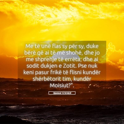 Picture 05 - Numrat 12:8 ALB - Me të unë flas sy për sy, duke bërë që ai - Bible Verse Picture
