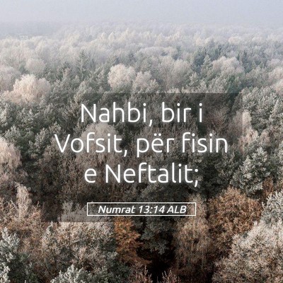 Picture 05 - Numrat 13:14 ALB - Nahbi, bir i Vofsit, për fisin e - Bible Verse Picture