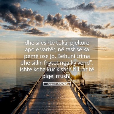 Picture 05 - Numrat 13:20 ALB - dhe si është toka, pjellore apo e varfër, në - Bible Verse Picture