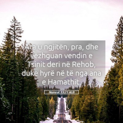 Picture 05 - Numrat 13:21 ALB - Ata u ngjitën, pra, dhe vëzhguan vendin e - Bible Verse Picture