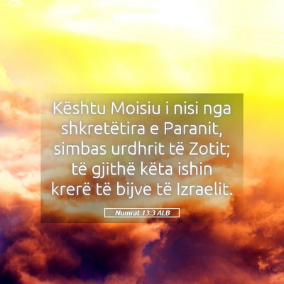 Picture 05 - Numrat 13:3 ALB - Kështu Moisiu i nisi nga shkretëtira e Paranit, - Bible Verse Picture