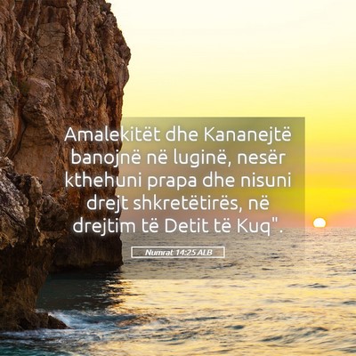 Picture 05 - Numrat 14:25 ALB - Amalekitët dhe Kananejtë banojnë në luginë, - Bible Verse Picture