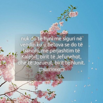 Picture 05 - Numrat 14:30 ALB - nuk do të hyni me siguri në vendin ku u betova - Bible Verse Picture
